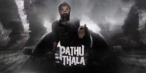 Thala 2025 To𝚛rent alternatives